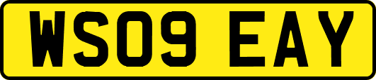 WS09EAY