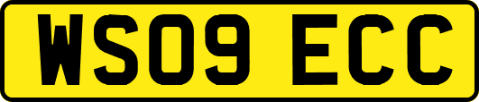 WS09ECC