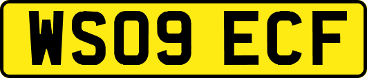 WS09ECF