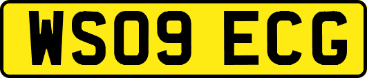 WS09ECG