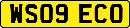 WS09ECO