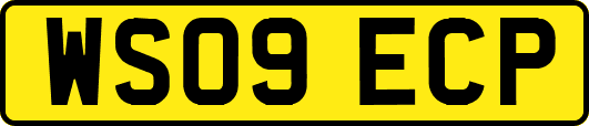 WS09ECP