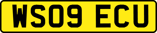 WS09ECU