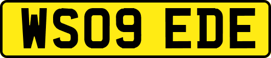 WS09EDE