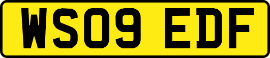 WS09EDF