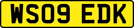 WS09EDK