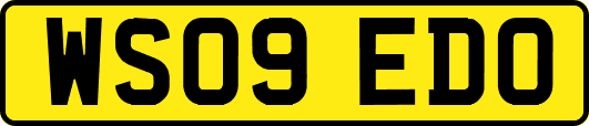 WS09EDO