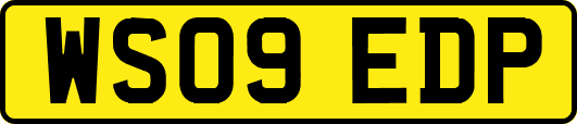 WS09EDP