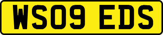 WS09EDS