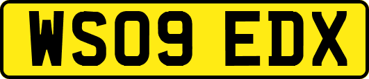 WS09EDX
