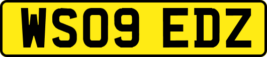 WS09EDZ