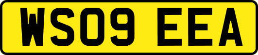 WS09EEA