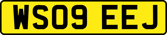 WS09EEJ