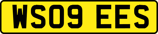 WS09EES