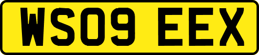 WS09EEX