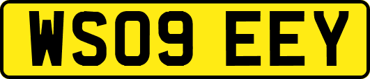 WS09EEY