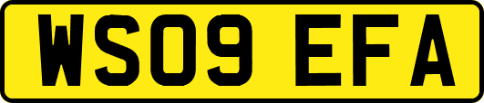 WS09EFA