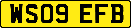 WS09EFB