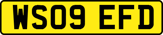 WS09EFD