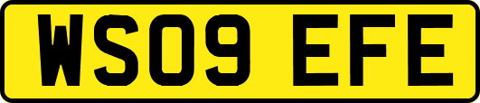 WS09EFE