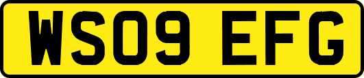 WS09EFG