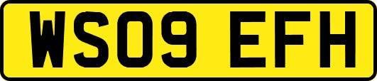 WS09EFH