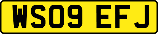WS09EFJ