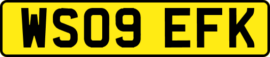 WS09EFK