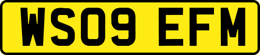 WS09EFM