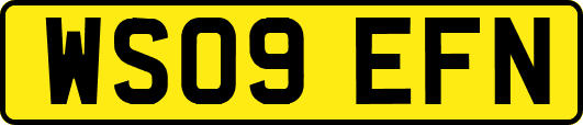 WS09EFN
