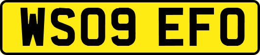 WS09EFO