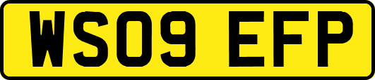 WS09EFP