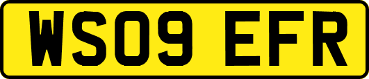 WS09EFR