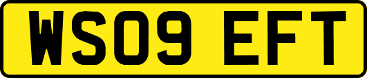 WS09EFT