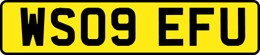 WS09EFU