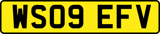 WS09EFV