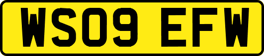 WS09EFW