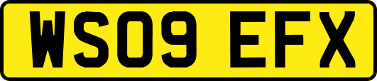 WS09EFX