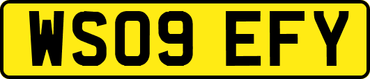 WS09EFY