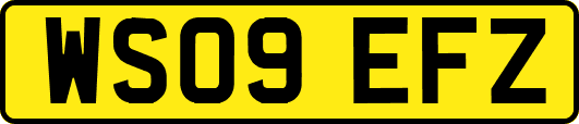 WS09EFZ