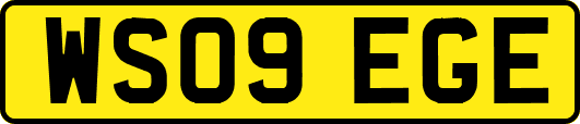 WS09EGE