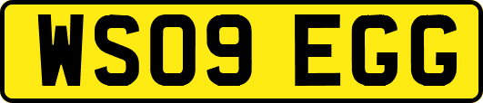 WS09EGG