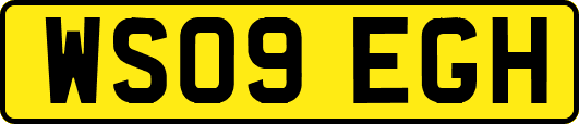 WS09EGH