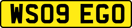 WS09EGO