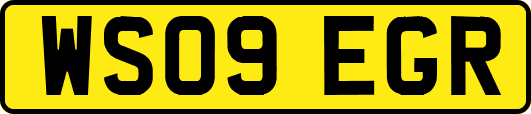 WS09EGR