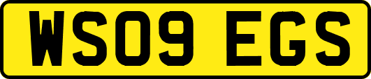 WS09EGS