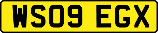 WS09EGX
