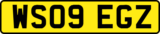 WS09EGZ