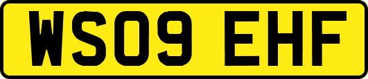 WS09EHF