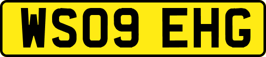 WS09EHG
